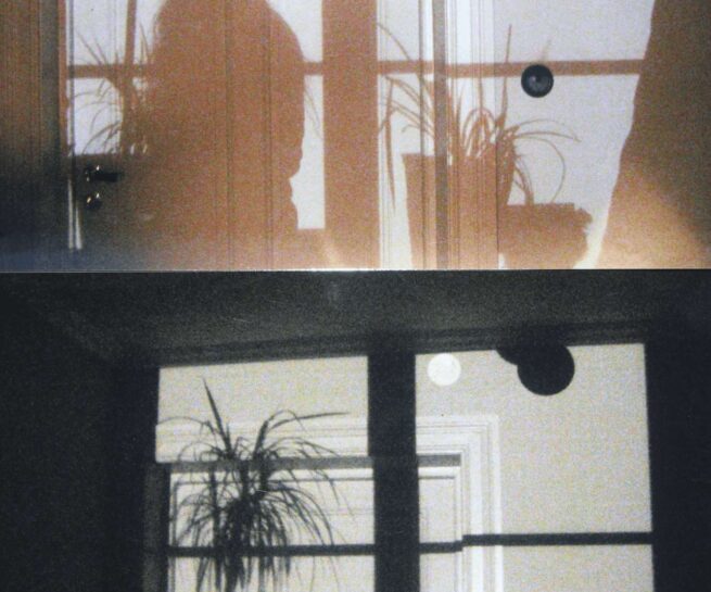 two photos of a person's and plants shadow