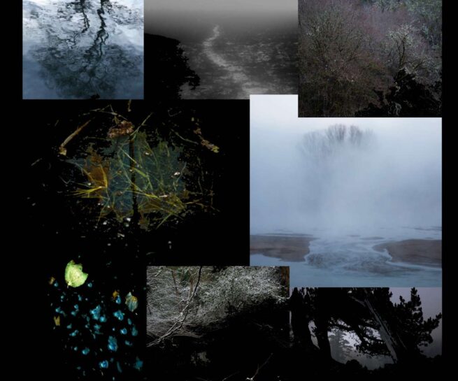 Digital collage of photos