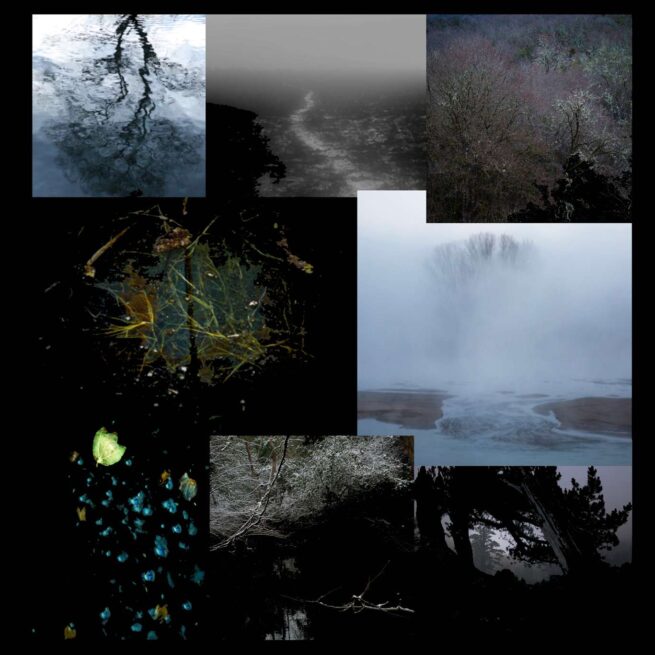 Digital collage of photos