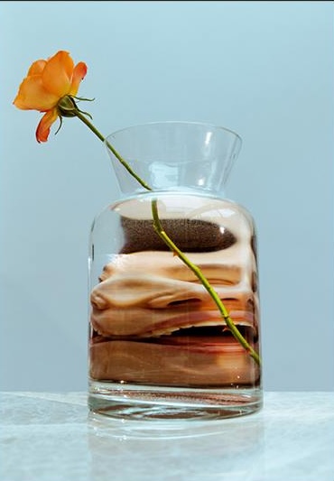 Flower in a vase. blue background. Vase has a distorted face.