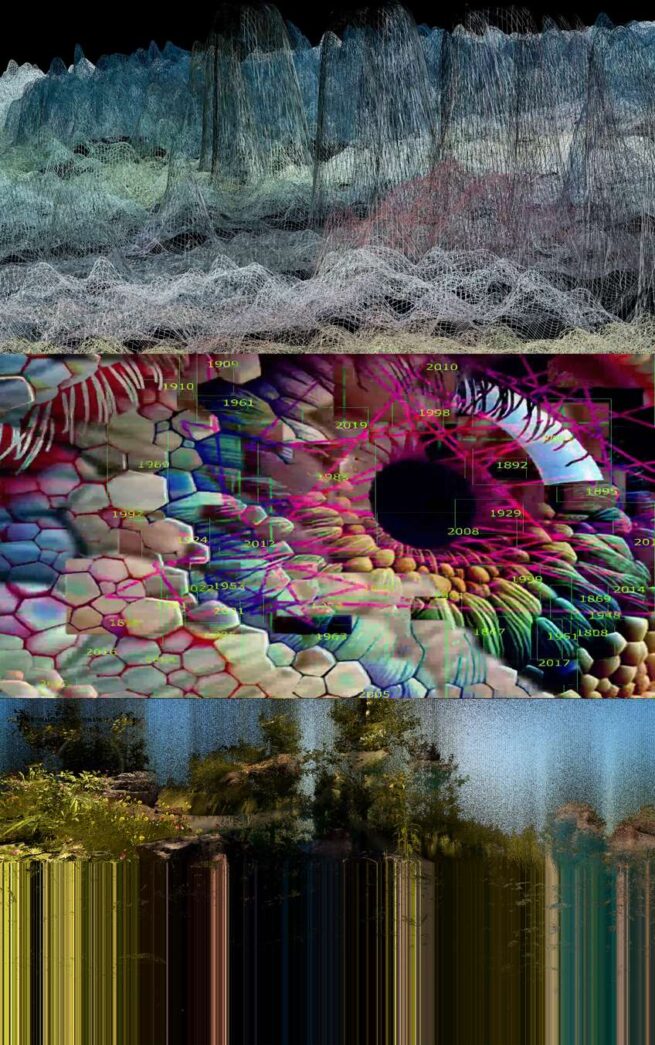 Digital images eye look