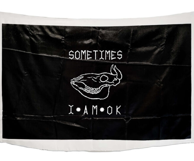 black flag that writes "sometimes I am ok"