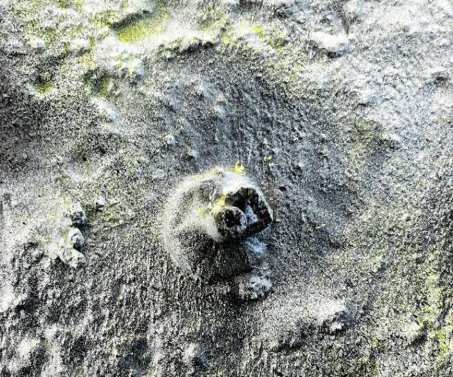 Irene Zenonos, "Fossils of Time" from the series "Archelogical Findings", 2025, Photo: Molekyl gallery