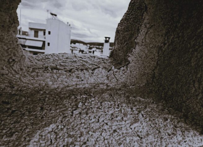 buildings on the background.