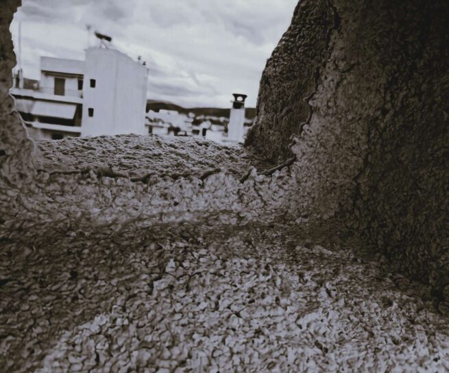 buildings on the background.