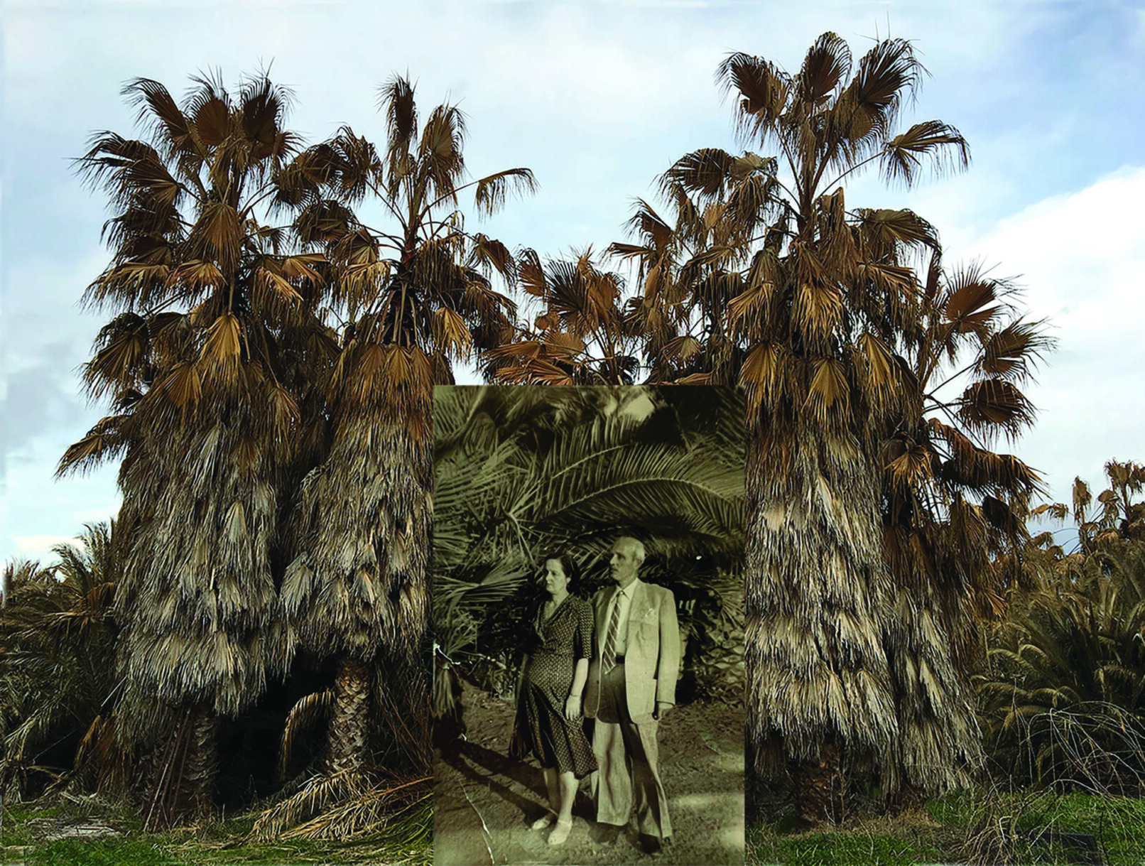 image of trees and in front an old photograph with a couple