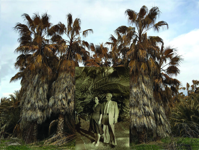 image of trees and in front an old photograph with a couple
