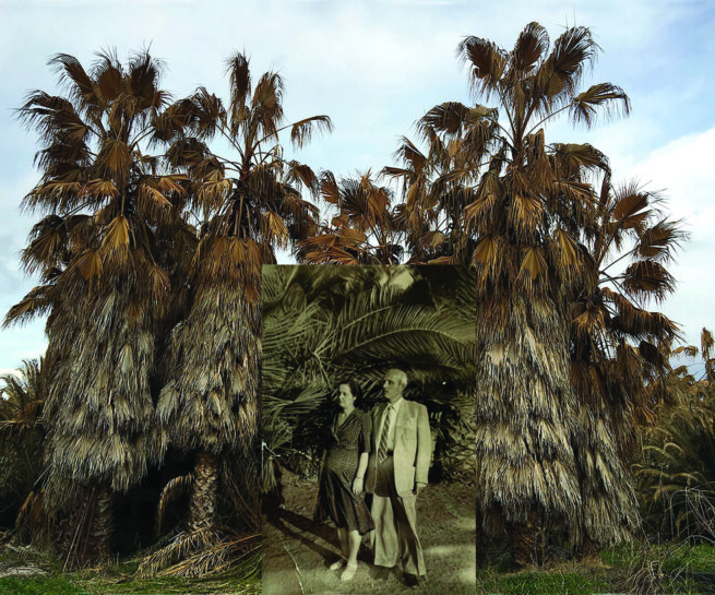 image of trees and in front an old photograph with a couple