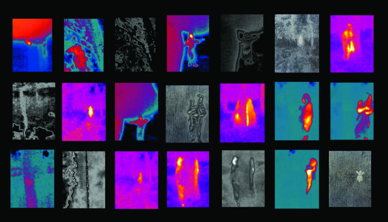 Thermal camera portrait grid