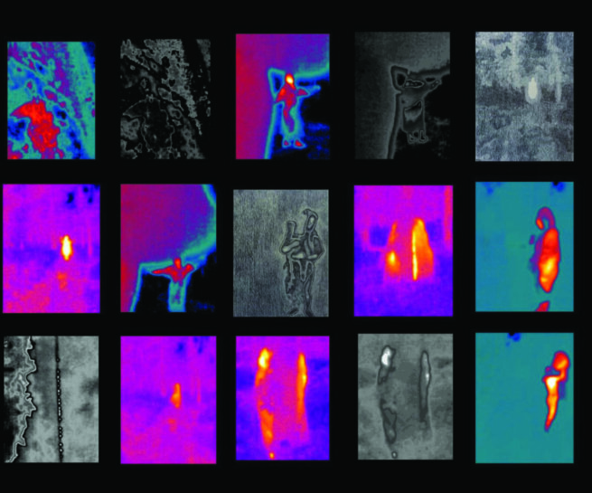 Thermal camera portrait grid